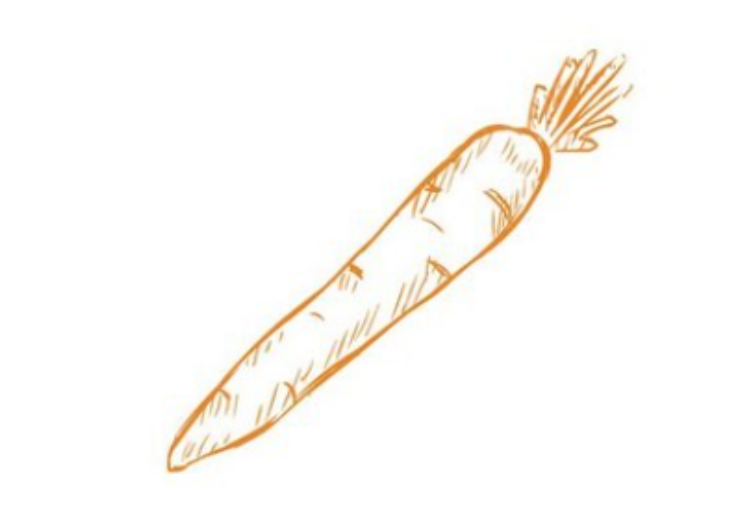 Illustration of a carrot in orange pencil.